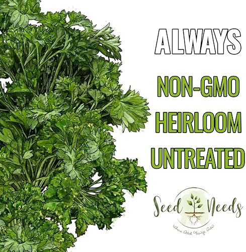 Seed Needs Curly Parsley Seeds to Plant an Herb Garden - 1 Pack - Image 4