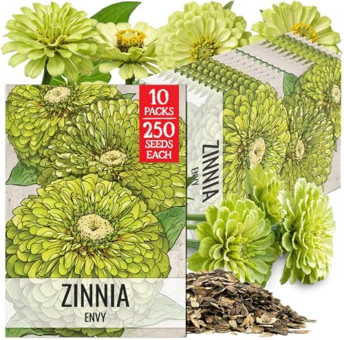 Seed Needs Envy Zinnia Seeds to Plant Cut Flowers - 10 Packs by SeedNeeds