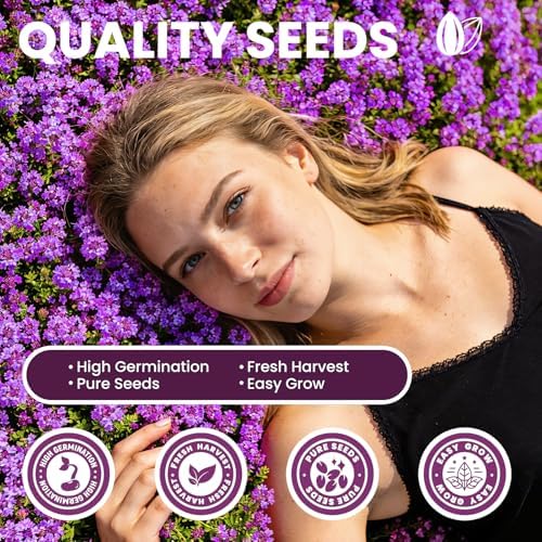 20000+pcs Creeping Thyme Seeds for Planting, Perennial Ground Cover Plants Flowers Seeds Fragrant Herb Seeds for Lawns & Paths Garden - Image 4