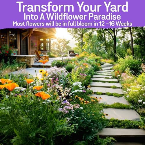 NatureZ Edge Wildflower Seeds Mix – 2 Oz, 85,000 Seeds, 35 Variety Perennial & Annual Flower Seeds to Plant Outside, Bulk Wildflower Seeds, Wild Flower, Semillas de Flores - Image 6
