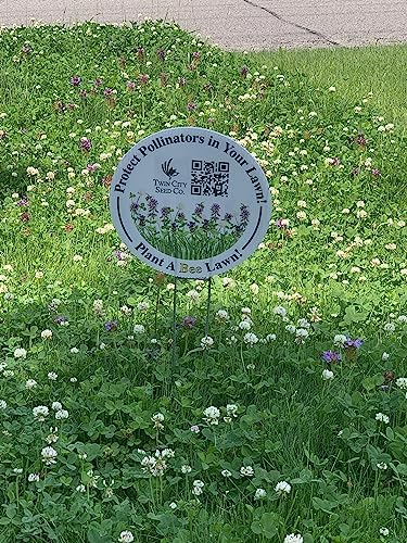 Bee Lawn Seed Mixture, 25 lb - Image 2