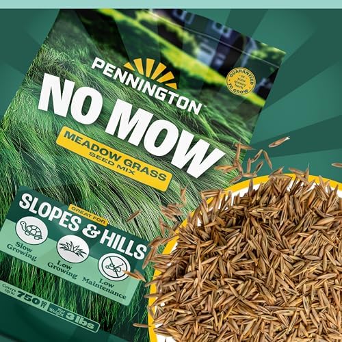 Pennington No Mow Mix, Fescue Grass Seeds for Lawn, 3 lb - Image 3