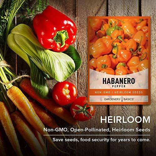 Gardeners Basics, Orange Habanero Pepper Seeds for Planting Heirloom Non-GMO Hot Habanero Peppers Plant Seeds for Home Garden Vegetables Makes a Great Gift for Gardeners - Image 4