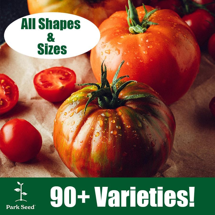 Park Seed Variety of Tomato Seeds, Early Girl Hybrid, Pack of 30 - Image 4