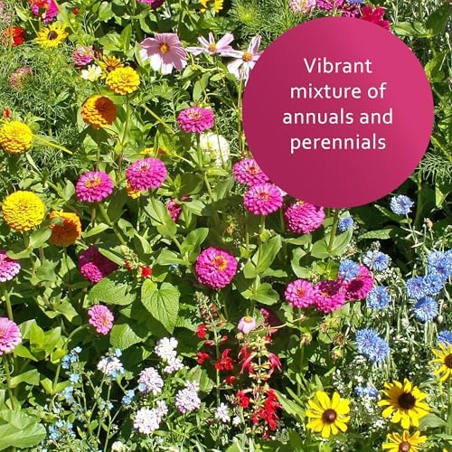 Earth Science Wildflower Butterfly & Hummingbird Mix—6 lb— 3-in-1 Premium Wildflower Seed, Plant Food and Soil Conditioners, Non-GMO for Bees, Hummingbirds, Butterflies, Pollinators - Image 4