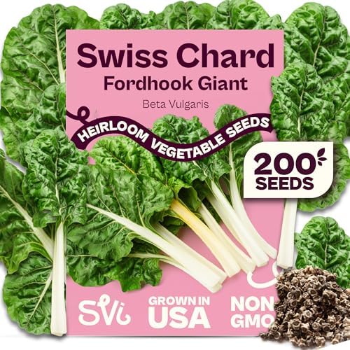 SVI 200 Fordhook Giant Chard Seeds (Beta Vulgaris) - Swiss Chard, White Stem Leafy Greens, Mild Flavor, Heirloom Seed in Seed Packets - Vegetable Seeds for Home Garden, Containers and Outdoor Beds by SVI