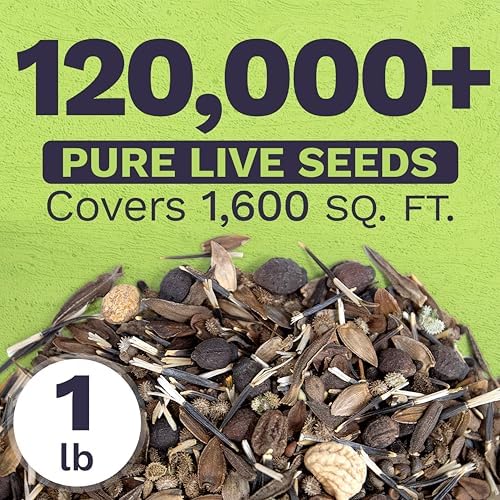 Bulk Wildflower Seeds Butterfly and Hummingbird Mix - 1 Pound Bag - Over 120,000 Open Pollinated Annual and Perennial Seeds - Image 3