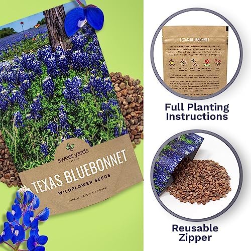 Texas Bluebonnet Wildflower Seeds - Bulk 1/4 Pound Bag - Over 4,000 Native Seeds - Texas State Flower! - Image 5