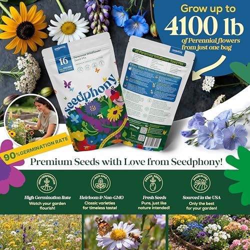 Seedphony 16 Perennial Wildflower Mix 4 oz - 100,000 Non-GMO Heirloom Wildflower Seeds for Planting Garden, Wild Flowers in Waterproof Seed Packet, Floral Seeds for Planting Indoor & Outdoor Gardening - Image 2