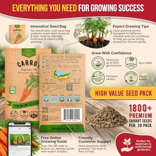 Imperator 58 Carrot Seeds Pack 2G - Over 1800 of Non-GMO Heirloom Carrot Seeds for Planting Vegetables in Individual Seed Packet, Vegetable Seeds for Planting Indoor & Outdoor Garden - Image 3