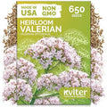 650 Valerian Heirloom Herb Seeds for Planting, Valeriana Officinalis by KVITER