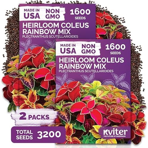3,200 Rainbow Coleus Mix Seeds for Planting, Plectranthus Scutellarioides by KVITER