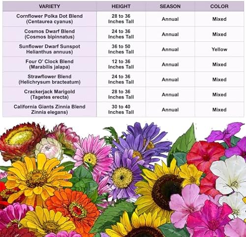 Seed Needs Wildflower Seeds Large Blooms Mix 5 Bulk Packs (1 Ounce Each) - Image 7