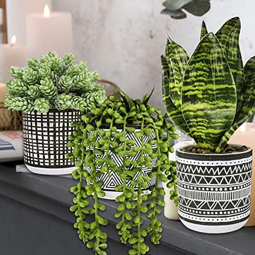 Winlyn 3 Pcs Small Potted Plants Artificial Succulents Hanging Plants and Faux Tropical Snake Plant in Black Geometric Pots for Modern Home Kitchen Windowsill Table Shelf Indoor Outdoor Greenery Decor - Image 5