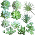 Supla 11 Pcs Mini Artificial Succulents Picks Unpotted Faux Succulent Assortment in Flocked Green in Different Type Different Size Succulents Echeveria Agave Floral Arrangement Mother Day' s Gift by SUPLA