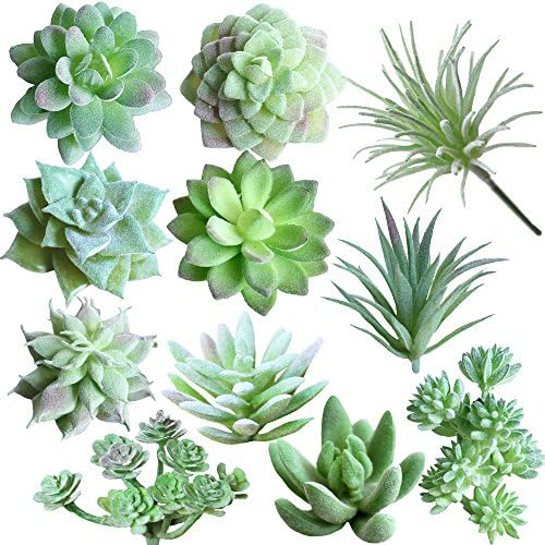 Supla 11 Pcs Mini Artificial Succulents Picks Unpotted Faux Succulent Assortment in Flocked Green in Different Type Different Size Succulents Echeveria Agave Floral Arrangement Mother Day' s Gift by SUPLA