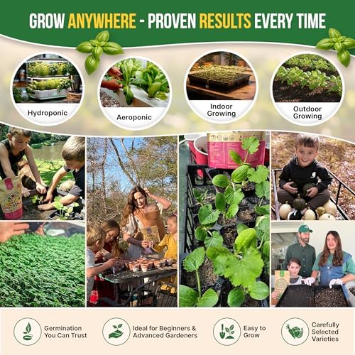 25 Most Popular Herb Seeds Variety Pack - 11,700 Non-GMO Heirloom Seeds for Planting Herbs in Individual Seed Packets for Hydroponic, Indoor & Outdoor Gardening - Image 4