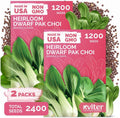 2400 Baby Bok Choy Heirloom Vegetable Seeds, Brassica Rapa subsp. Chinensis by KVITER