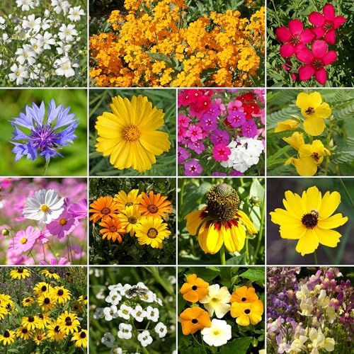 Ferry-Morse Gulf Coast-Caribbean Bulk Wildflower Seeds, 300,000+, 1 lb - Image 2