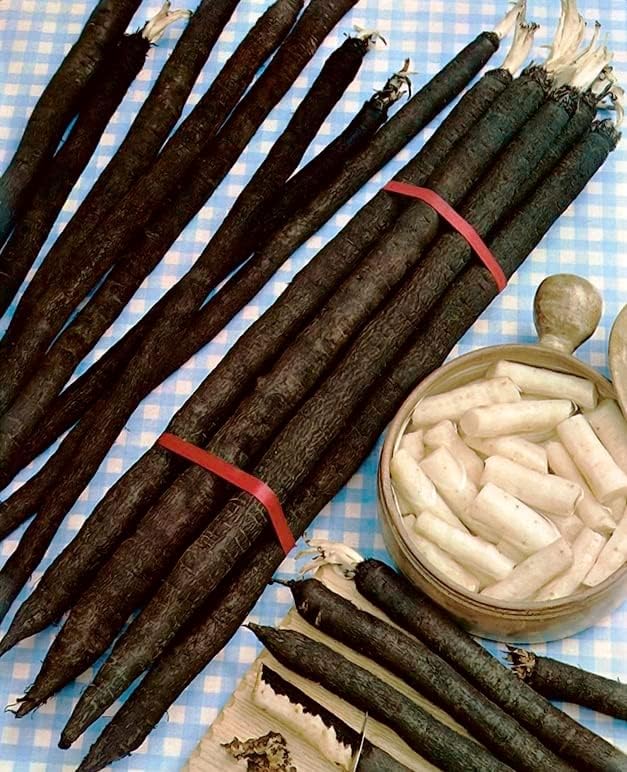 Seeds Oyster Plant Black Root - Salsify Scorzonera - Heirloom Vegetable - GMO Free - Image 2