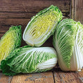 Napa Michihili Heading Cabbage Seed, 50 Count, Heirloom, Non GMO Seed Tasty Healthy Veggie by CountryCreekAcres