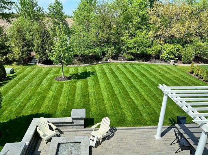 Twin City Seed Mixture Co. Blue Envy Lawn Grass Seed Mixture, 25 lb - Image 3