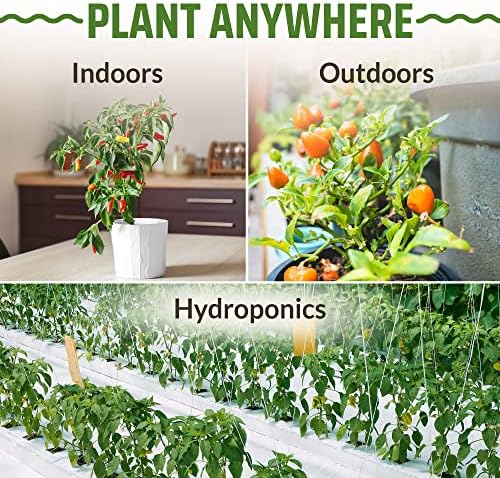 Rooted Acre 8 Varieties Hot Peppers – 240 Heirloom Seeds, High Germination – Includes Ghost Jalapeño, Serrano, California Wonder & More – Spicy Pepper Garden Mix - Image 6