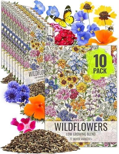 Seed Needs Low Growing Wildflower Flower Seeds for Planting | 10 Packs (1 Ounce Each) Mixture/Blend 17 Varieties | Resealable Package Multicolored Blooms Open Pollinated Mixed Species | Bulk by SeedNeeds
