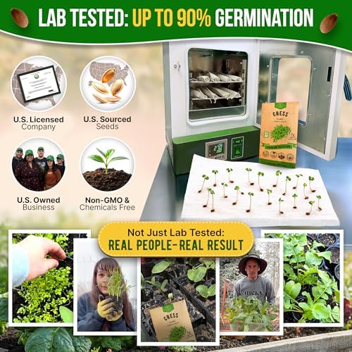 Curled Cress Seeds Pack 5G - Over 2,150 Non-GMO Heirloom Cress Seeds for Planting Greens in Individual Seed Packet, Greens Seeds for Planting Home Garden Indoor & Outdoor Gardening - Image 2