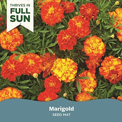 Seed Mat - Easy to Plant and Grow Garden Seeds - Creates Fragrant, Vibrant Flower Garden – Customizable Flower Beds- Merry Marigold - Image 2