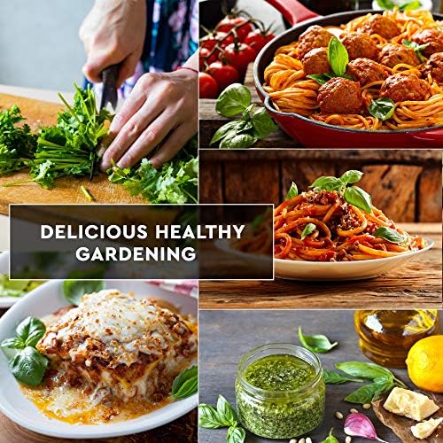 12 Italian Herb Seeds Pack - Heirloom and Non GMO, Grown in USA - Indoor or Outdoor Garden - Four Basil Varieties and Parsley, Cilantro, Rosemary, Thyme, Oregano, Marjoram, Sage, Arugula - Image 5