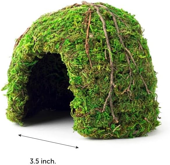 Galapagos (05366 Mossy Dome Hide, 6 in, Galápagos Green - Image 4