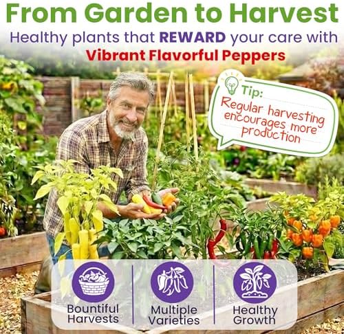 Hot Pepper Seeds for Planting, Cayenne, Hungarian Yellow, Jalapeno, Serrano, Habanero Orange, Heirloom Pepper Seeds Variety Pack, NonGMO, Made in USA - Image 5