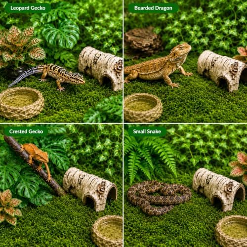 LIKZINWA Reptile Terrarium Decor Kit with Jungle Plants & Vines - Image 5