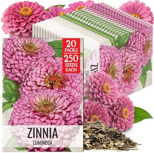Seed Needs Luminosa Zinnia Seeds to Plant Cut Flowers - 20 Packs by SeedNeeds