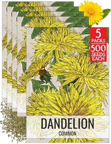 Seed Needs Common Dandelion Seeds to Plant an Herb Garden - 5 Packs by SeedNeeds