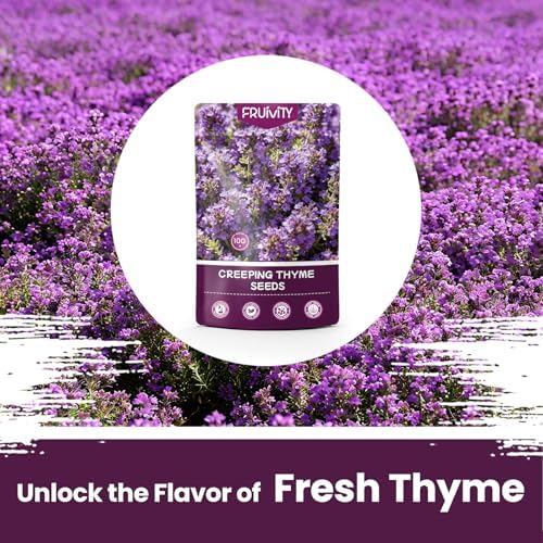 20000+pcs Creeping Thyme Seeds for Planting, Perennial Ground Cover Plants Flowers Seeds Fragrant Herb Seeds for Lawns & Paths Garden - Image 2