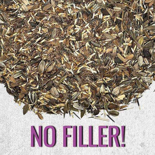 Seed Needs Wildflower Seeds Large Blooms Mix 5 Bulk Packs (1 Ounce Each) - Image 5
