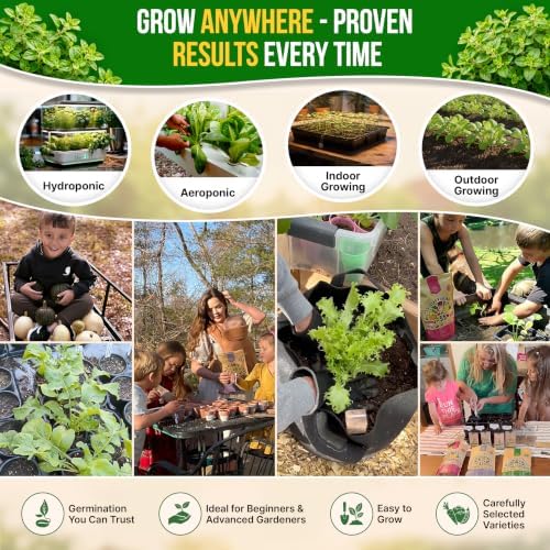 Oregano Seeds Pack 0.25 G - Over 3500 Non-GMO Heirloom Italian Vulgare Oregano Seeds for Planting - Image 5
