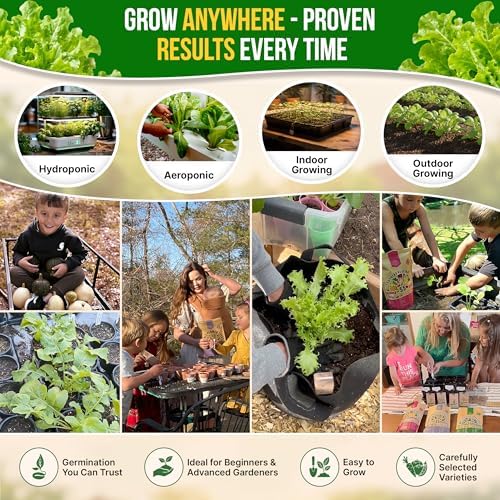 Lettuce Oakleaf Seeds Pack 1 G - Over 800 Non-GMO Heirloom Lettuce Seeds for Planting Greens in Individual Seed Packet, Greens Seeds for Planting Home Garden Indoor & Outdoor Gardening - Image 5