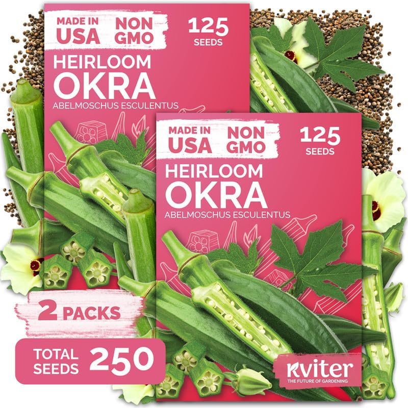 250 Clemson Spineless 80 Okra Seeds for Planting, Abelmoschus Esculentus by KVITER