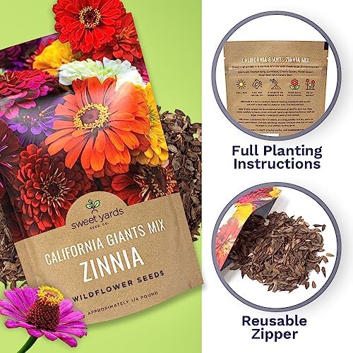 Bulk Zinnia Seeds - California Giants Mix - Bulk 1/4 Pound Bag Over 12,000 Flower Seeds - Mixed Colors and Large Blooms (Pack of 3) - Image 5