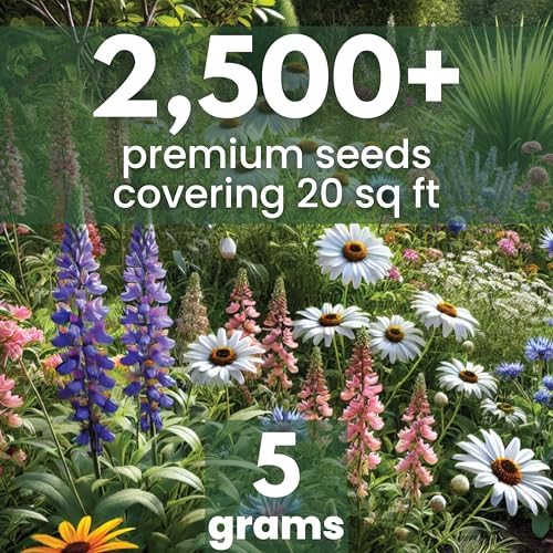 Perennial Species Mix - Large 5g Envelope - 2,500 Flower Seeds for Planting - Wildflower Mix - Image 2
