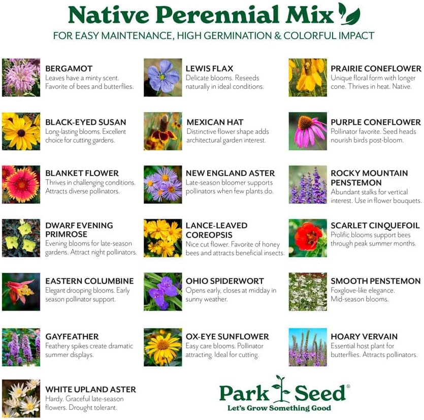 Park Seed Grow Your Own Vibrant Perennial Wildflower Garden Seeds Mixture, Easy to Grow Varieties for Pollinators and Spring Gardens - Native Perennial Mix, 10 lbs - Image 3