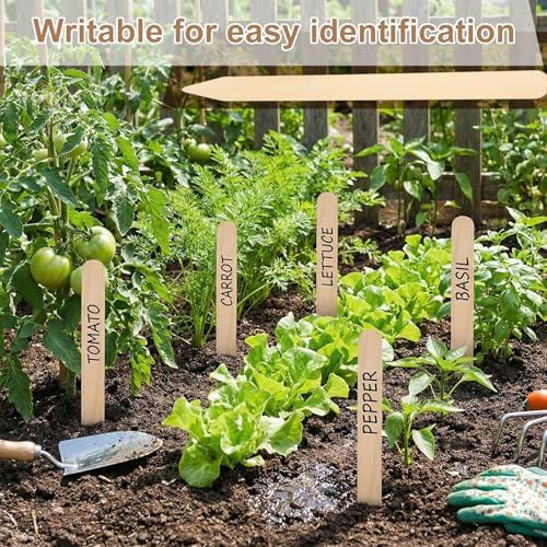 Weysat 200 Pcs 12" Wood Plant Labels for Field or Containers Plant Tags Wood Garden Labels for Seedling Stakes Markers Nursery Seed Tags with Smooth Surface for Pot Herbs Flowers Vegetables (Natural) - Image 5