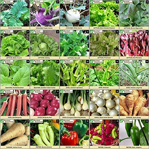 Heirloom Seed Vault, 17,500 Non-GMO Seeds-100 Variety - Image 6