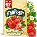 Rare Strawberry Seeds for Planting – 300 Non-GMO Heirloom Seeds, Hydroponic & Soil Growing, Indoor Outdoor Gardening, Containers and Raised Beds - Extra Big, Juicy, Sweet Strawberries by WilyFox