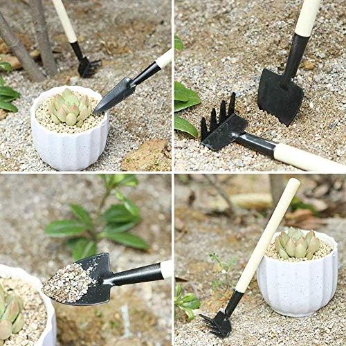 SONGZIMING 15 Pcs Succulent Plant Tools Set - Image 3