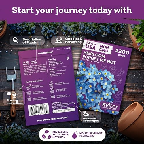 1200 Forget Me Not Heirloom Flower Seeds for Planting, Myosotis Sylvatica - Image 2