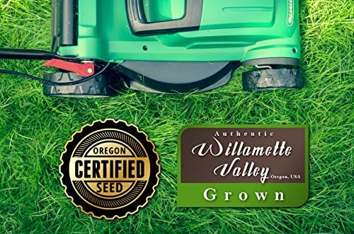 Kentucky 31 K31 Tall Fescue Grass Seed by Eretz - Choose Size! State Certified, No fillers, No Weed or Other Crop Seeds (8oz) - Image 2